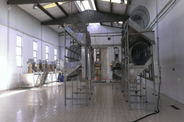 azienda-davanzo-2